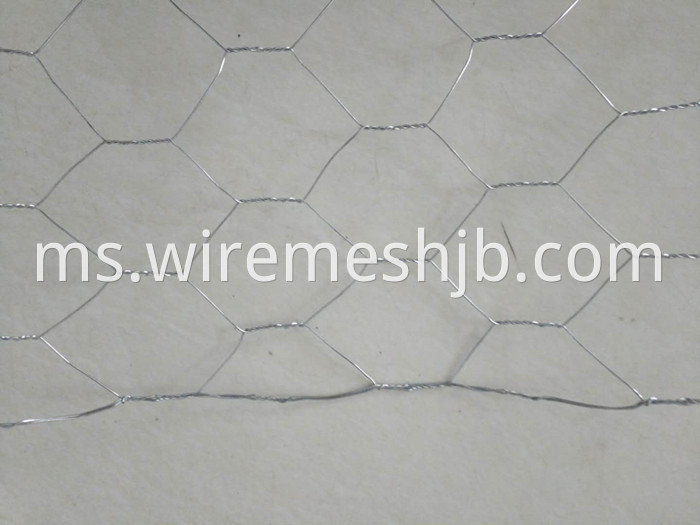 Galvanized Hexagonal Wire